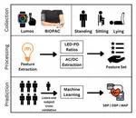 A Multi-Wavelength Optical Sensing Framework for Calibration-Free Wearable Blood Pressure Monitoring